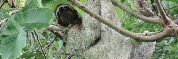 tonio_bonehead Profile Banner
