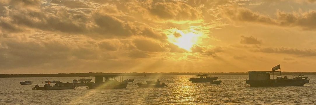 nduakapee's profile banner image
