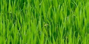 EricaGuest's profile banner image