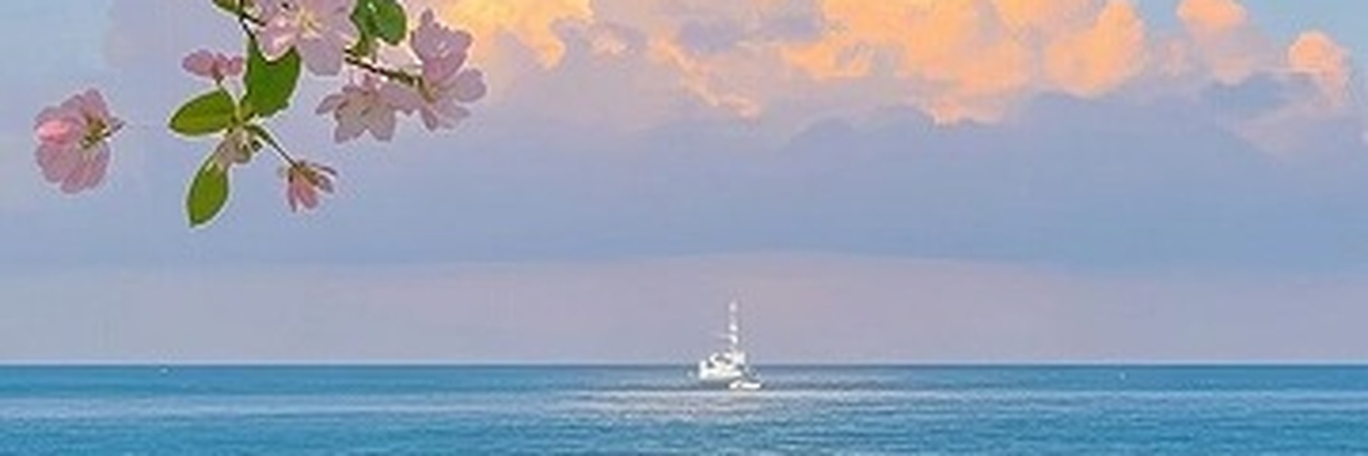 JimmieRNuts's profile banner image