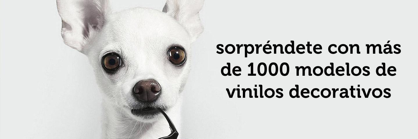 masquevinilo's profile banner image