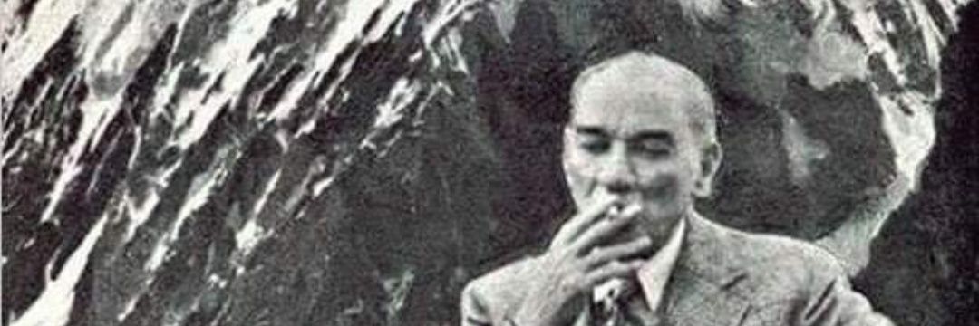 m.y. banner