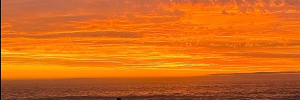 pristessAkari Profile Banner