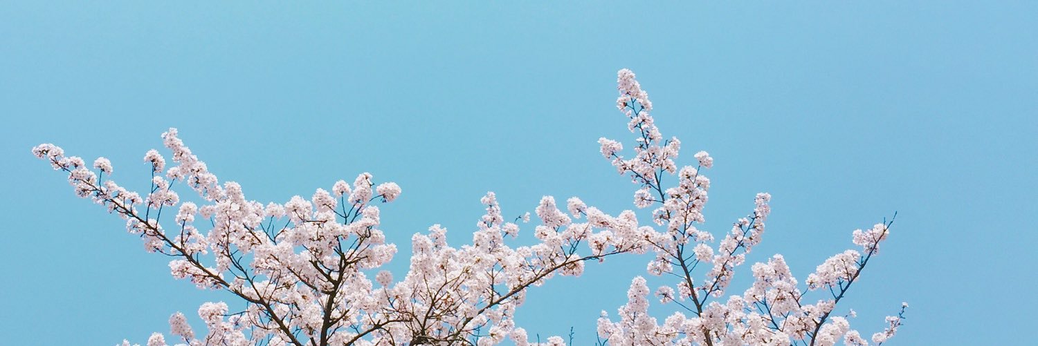 더민주 디지털미디어국 banner