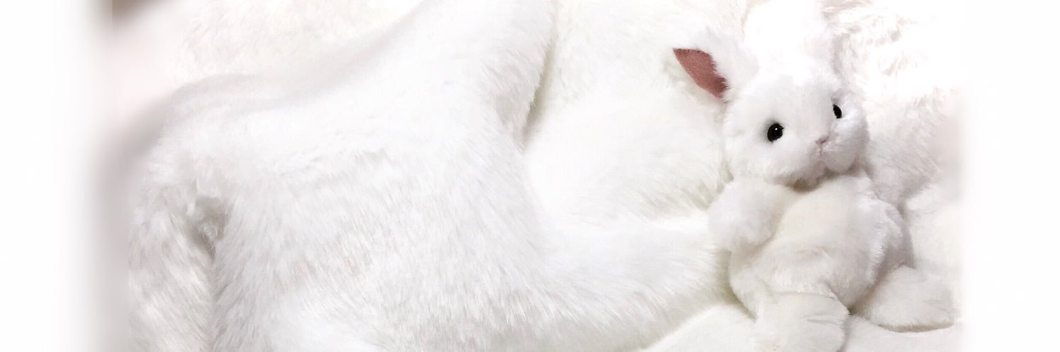 おもち by MARGARET BEAR banner