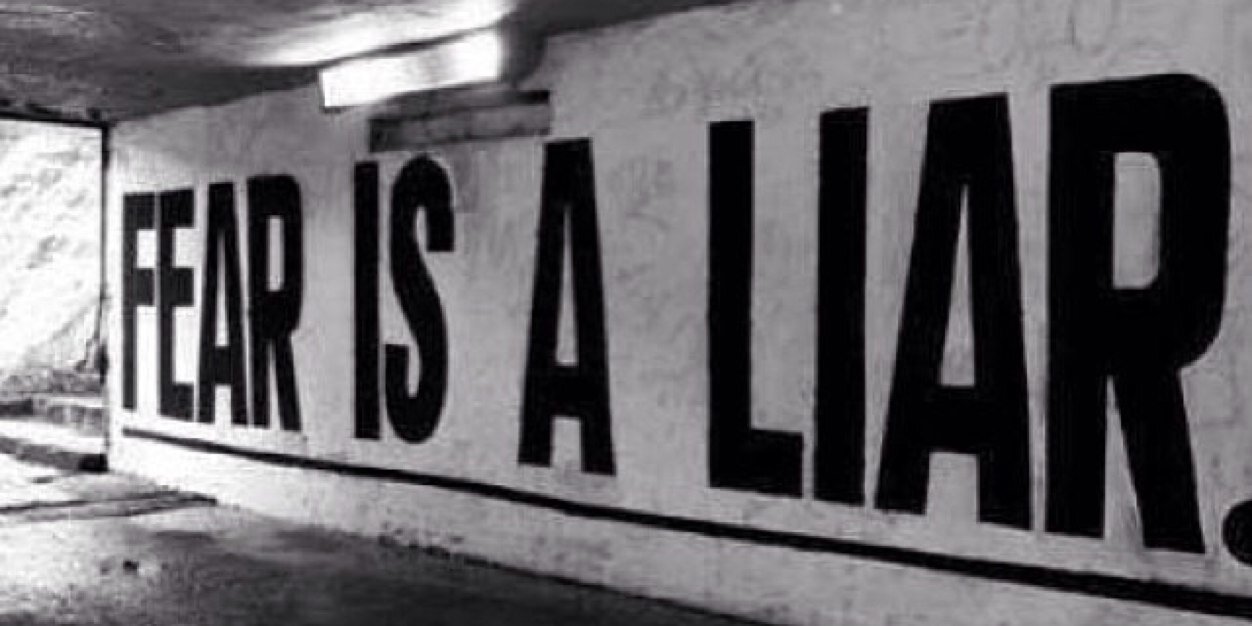 mdshelley's profile banner image