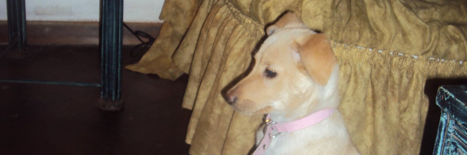 valenragaini's profile banner image