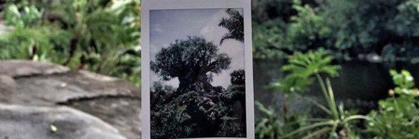 JonjohannsOF Profile Banner