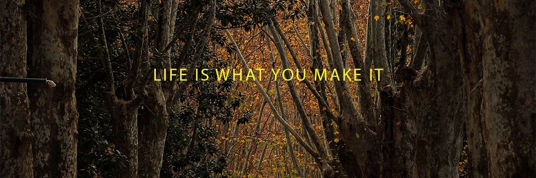 walid_5sos's profile banner image