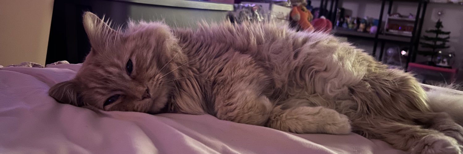 sambam ♋︎ banner