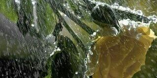 OmarNabhani's profile banner image