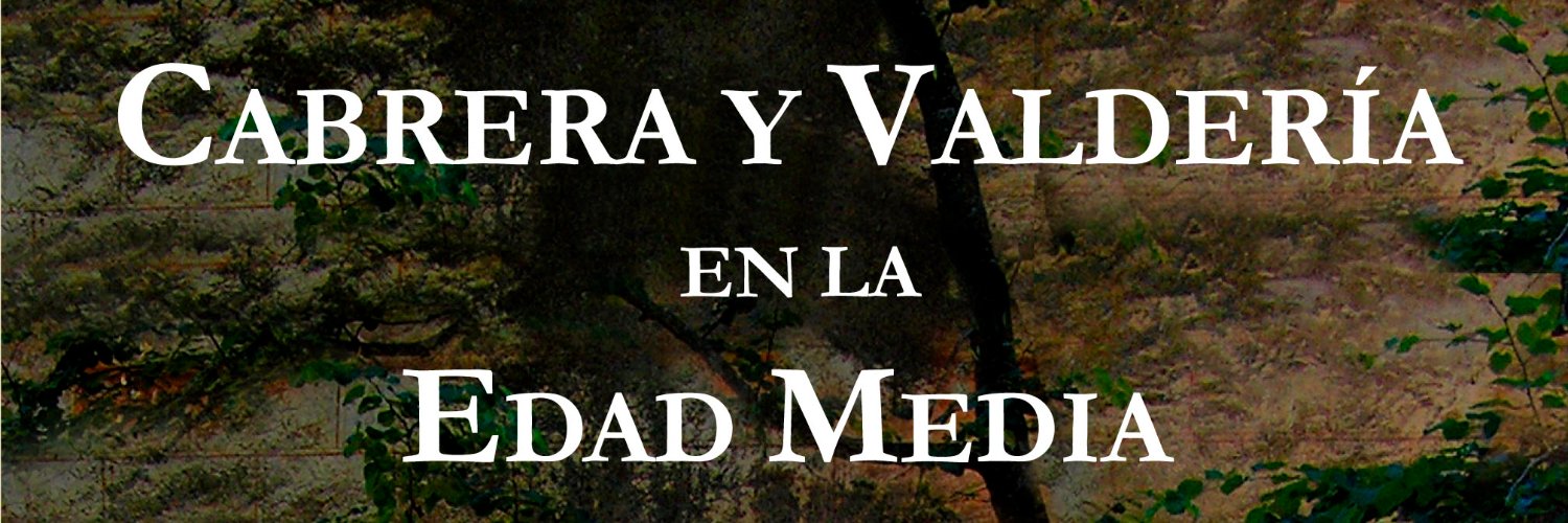 Sergio Carracedo banner