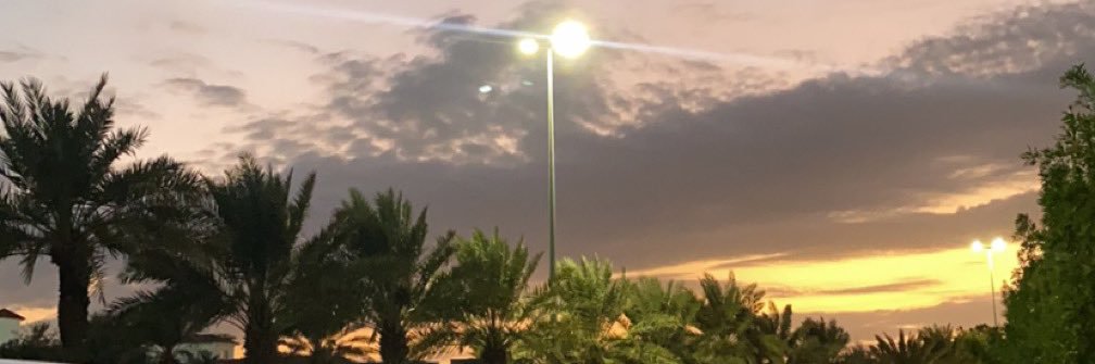 layalasar's profile banner image