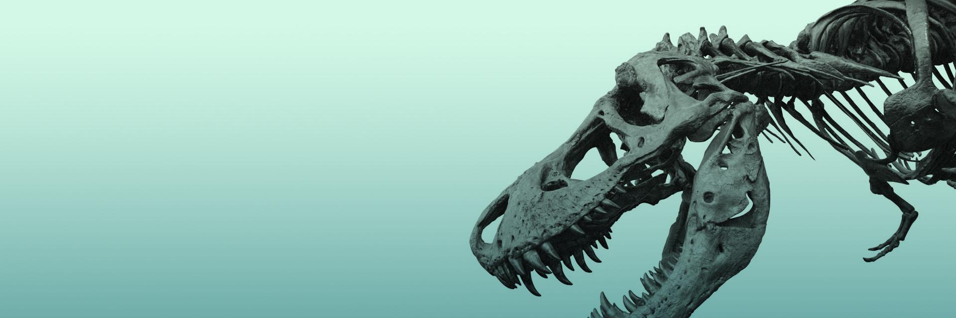 wolfincan's profile banner image