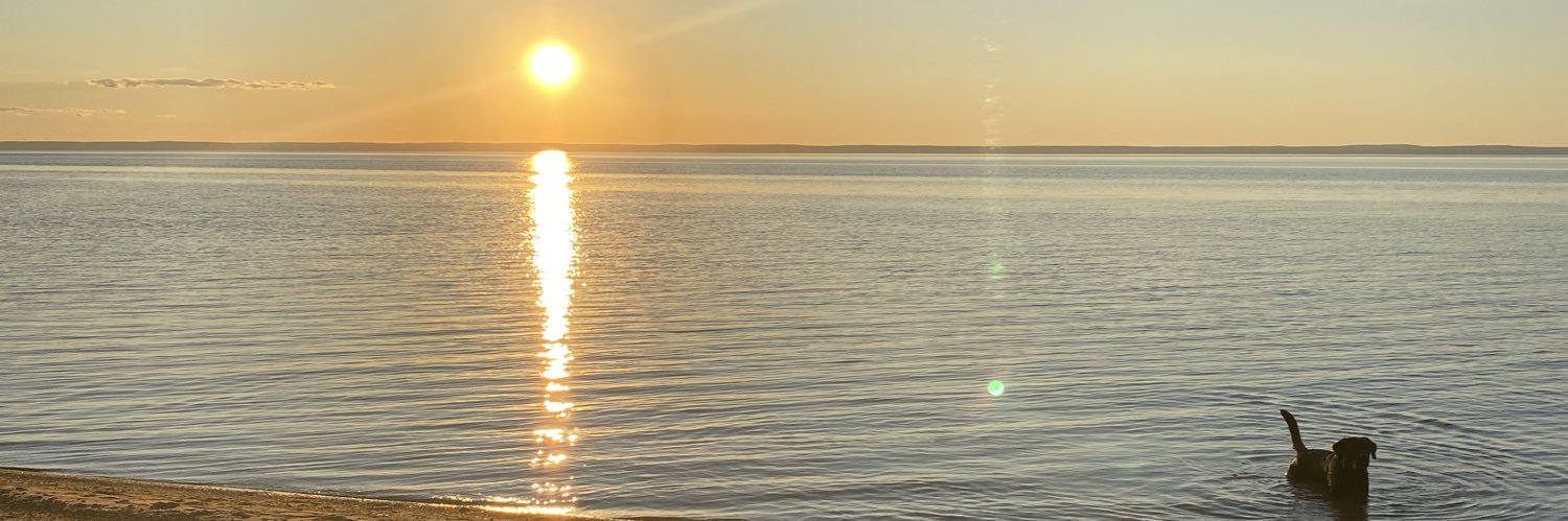 Maggie_clair's profile banner image