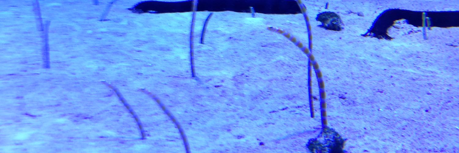 ma___73_9155's profile banner image