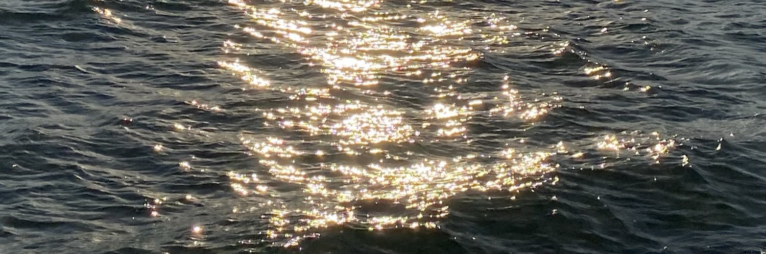 omneiax's profile banner image