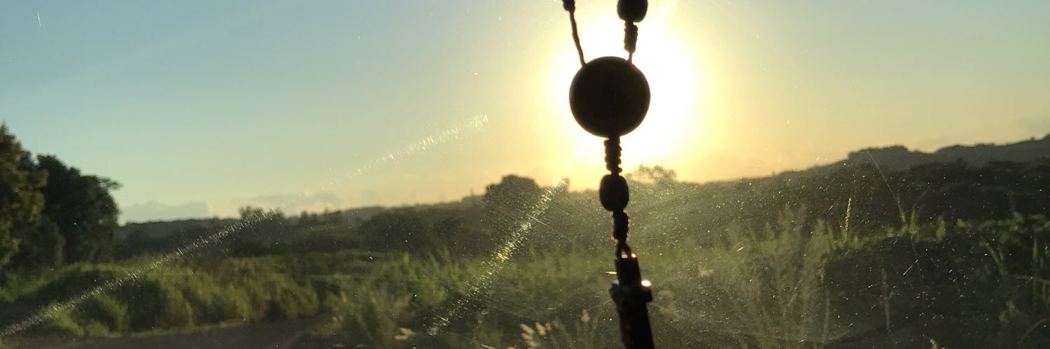 will_schroter's profile banner image