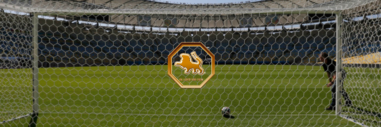 Leon de Oro banner
