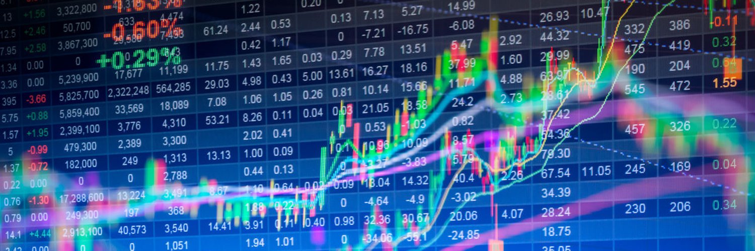 Cecile Giardina⚡️🌱 banner