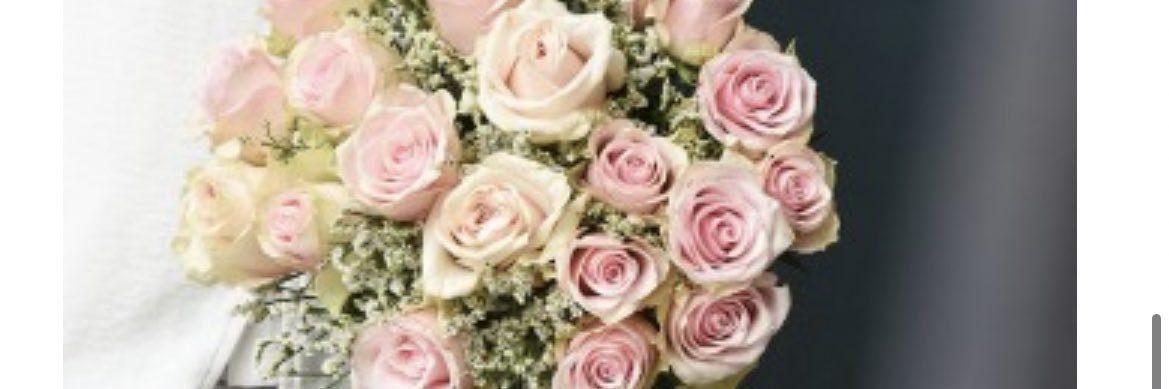Audrey69120's profile banner image