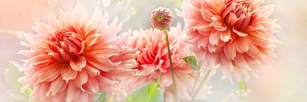 mariakrm88's profile banner image