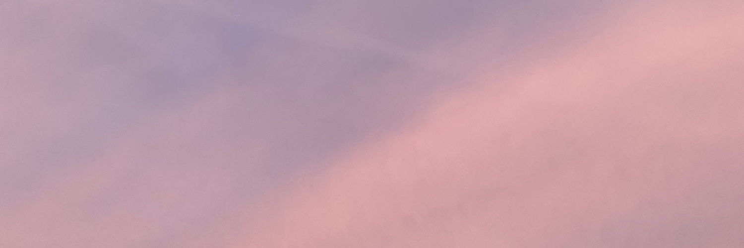 laschuurbiers's profile banner image