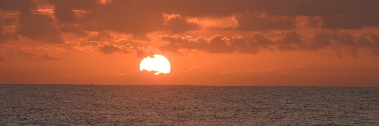 Dr. Pam McLean banner