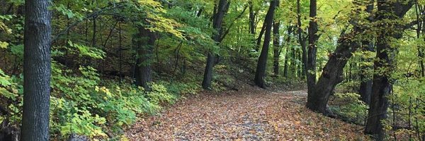 ABMineo Profile Banner