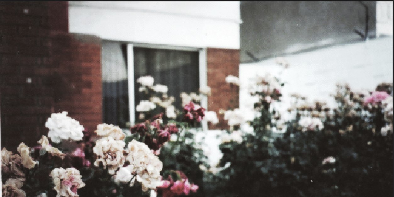 dietcocks's profile banner image