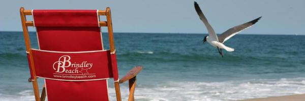 BrindleyBeach Profile Banner