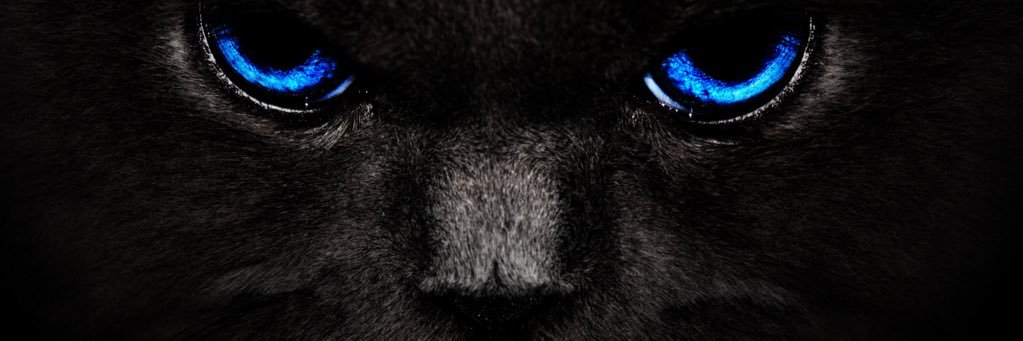 Plenty banner