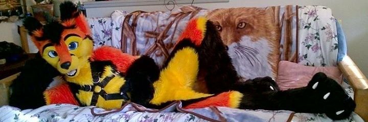 ThatGoofyFox's profile banner image