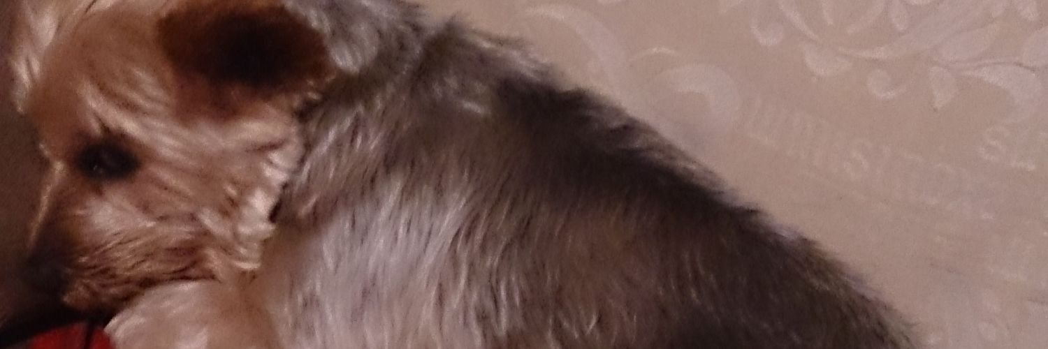 djmono35's profile banner image