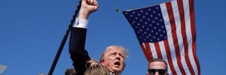 Lynn 🌹🌷🥀 banner