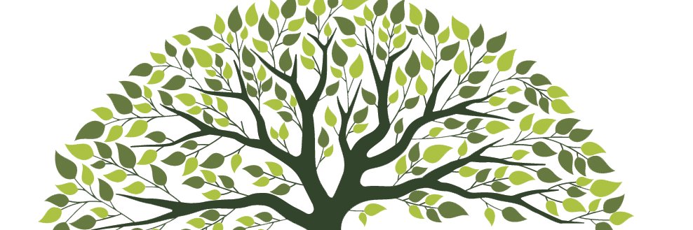 Therapy and Training banner