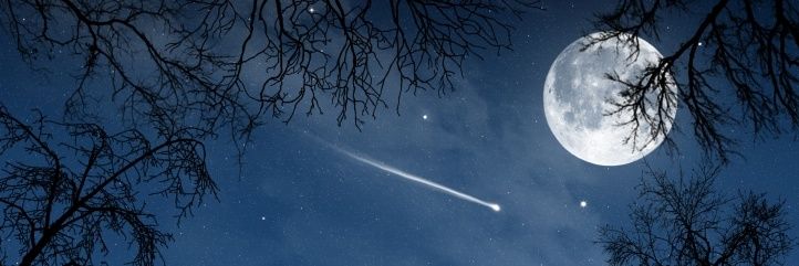 د/ مقبل عبدالرحمن العيباني ⭐⭐ banner