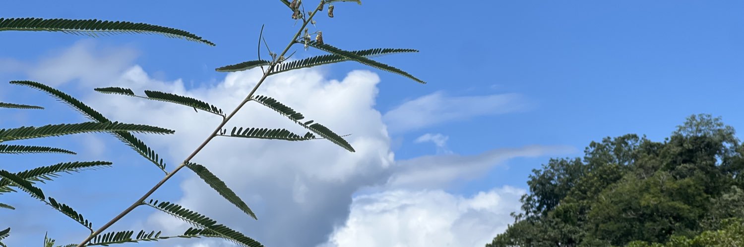 Prosy84's profile banner image