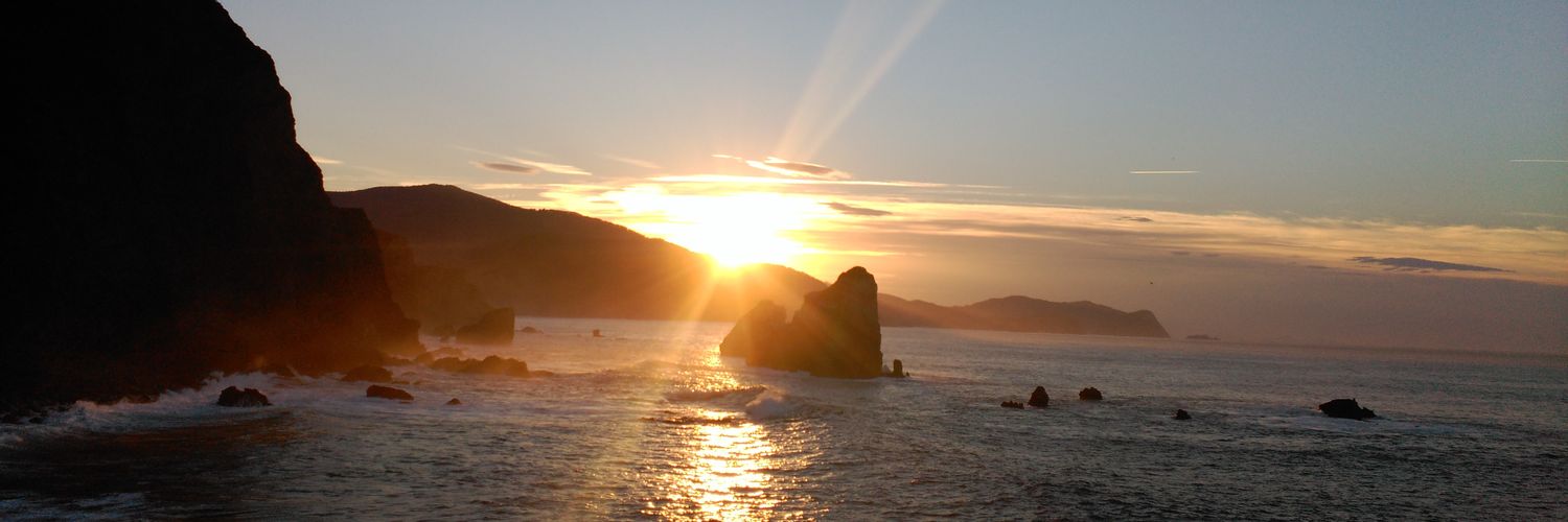 Laura_Cortezon's profile banner image