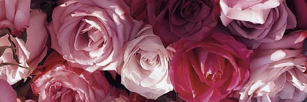 Hala_Alh's profile banner image