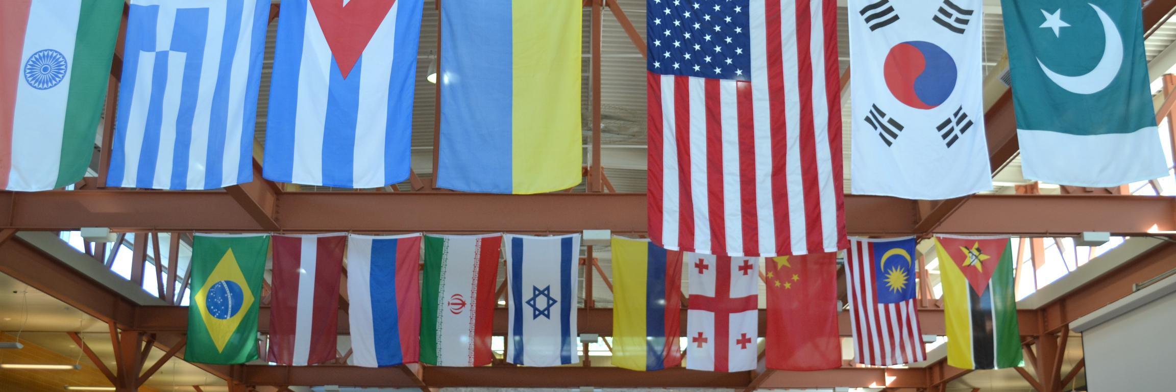 NPS ELL Department banner