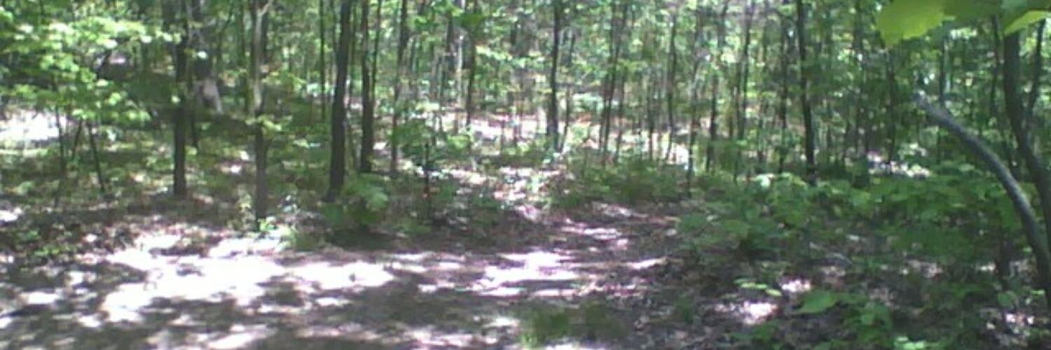 Robert McCartney banner