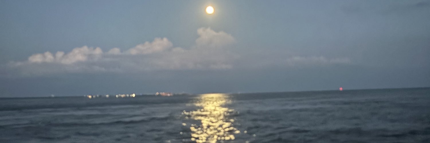 Montana Davidson banner