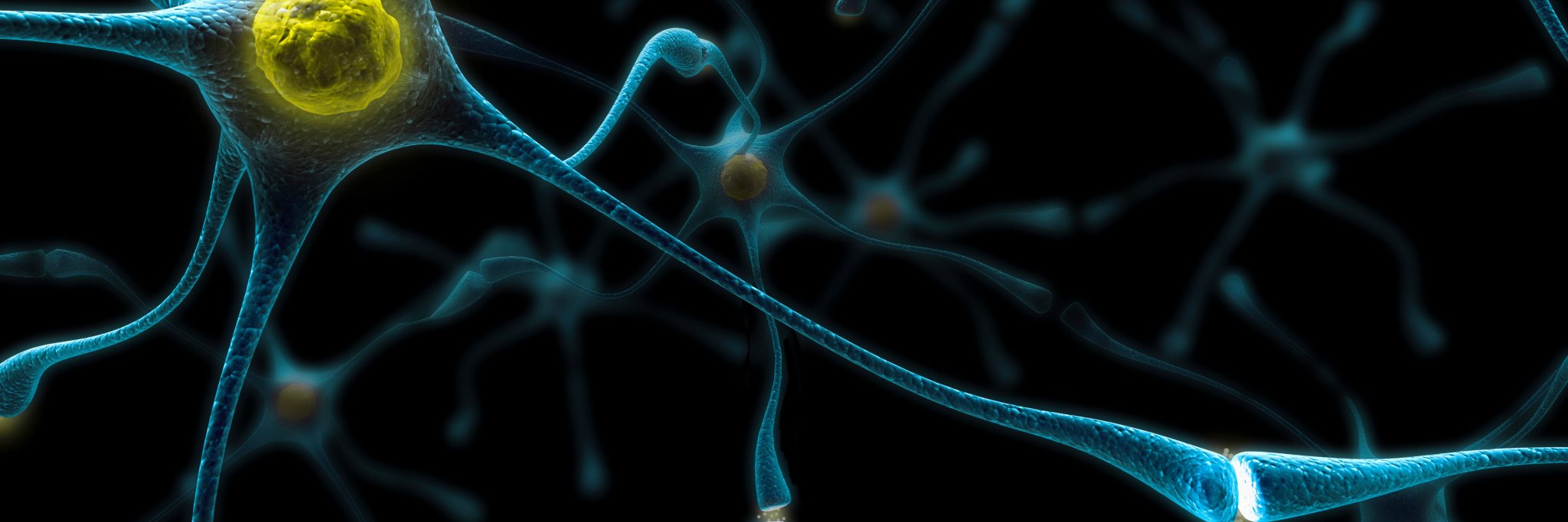 Rodin Therapeutics banner