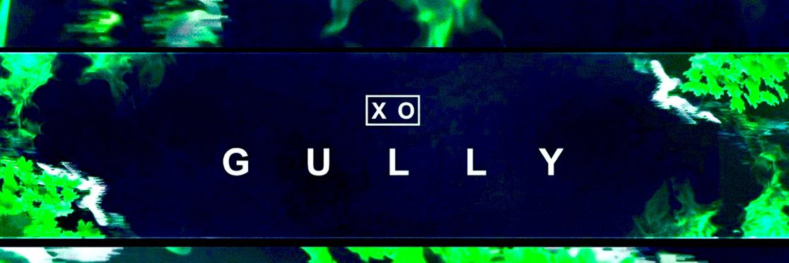 Z_Gully's profile banner image