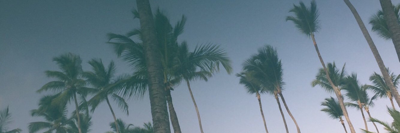 andrea_roddd's profile banner image