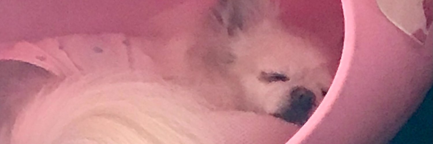labrekin's profile banner image
