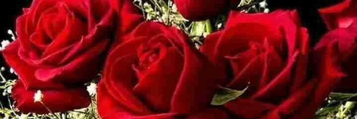 ta6037481's profile banner image