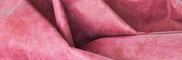 BionPoly Profile Banner