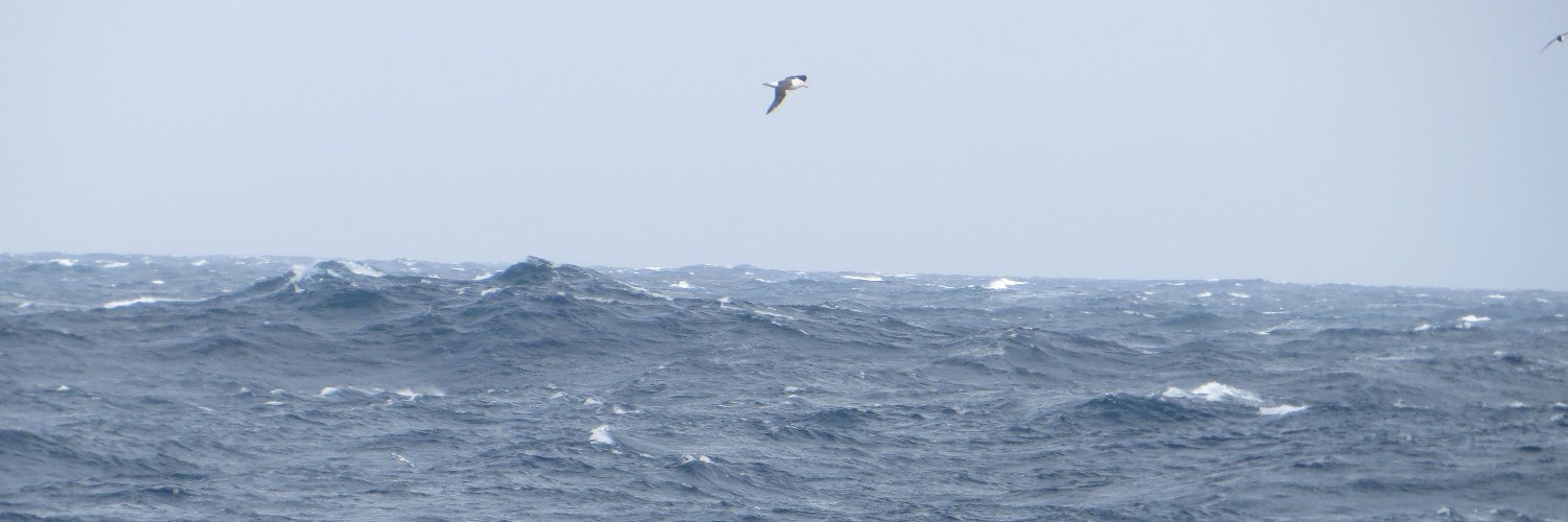 Dr Neill Mackay banner